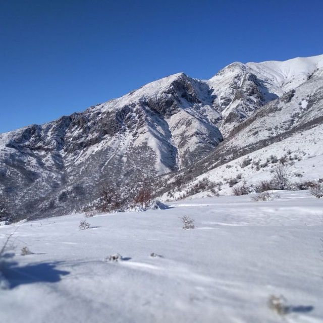 Чорбог су́в омбори  атрофида дача ЕРЛАР сотилади 1 сотихи