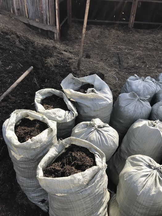 Продам чернозем, перегной в мешках.