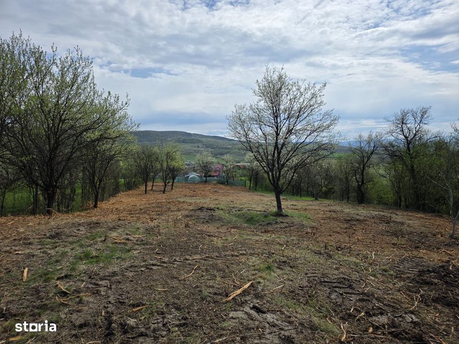 De vânzare teren intravilan – Bârsău, jud. Hunedoara