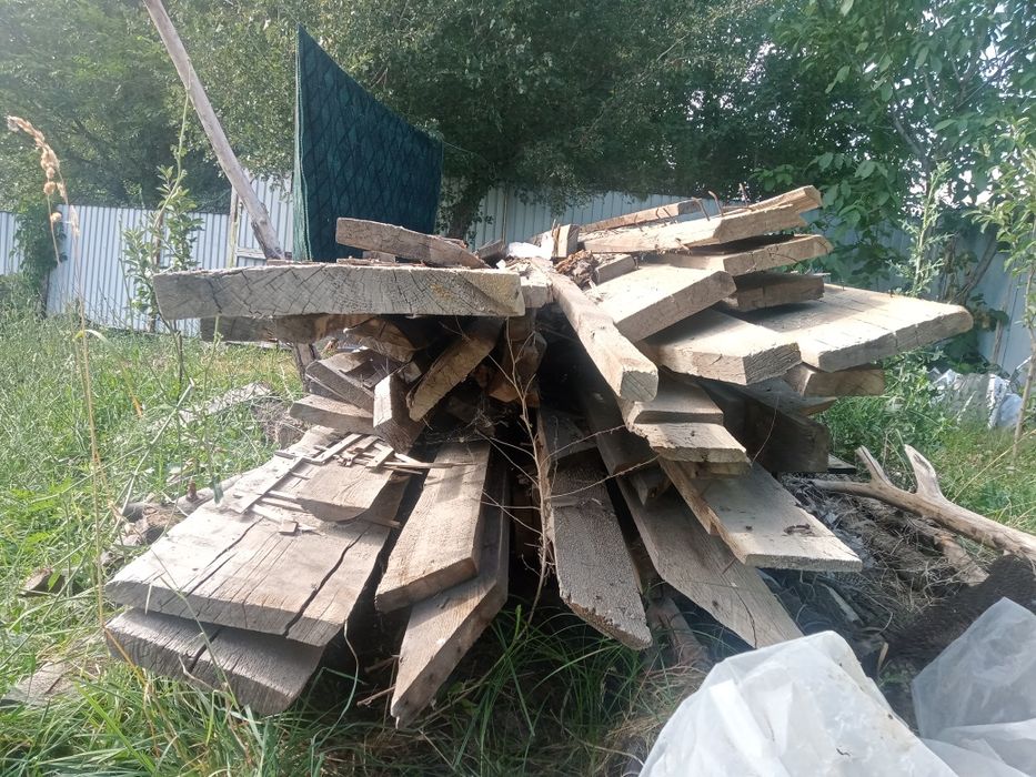 Ағаштар бар 4,5,6м ден бағасын келсеміз