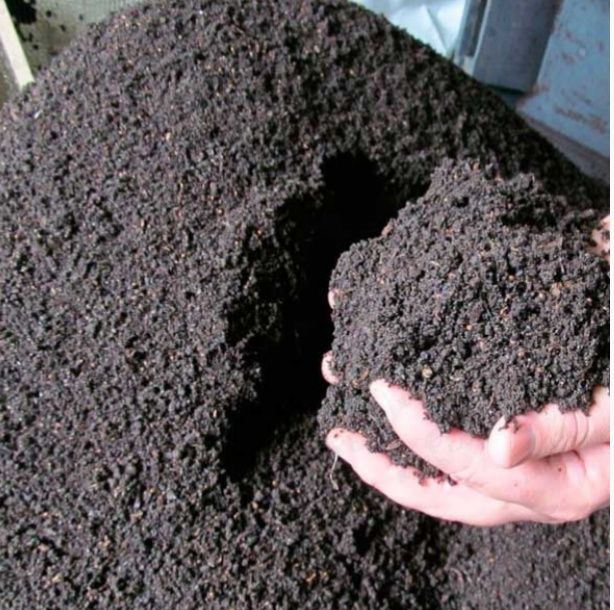 Калифорния кизил чувалчанглари ва биогумус