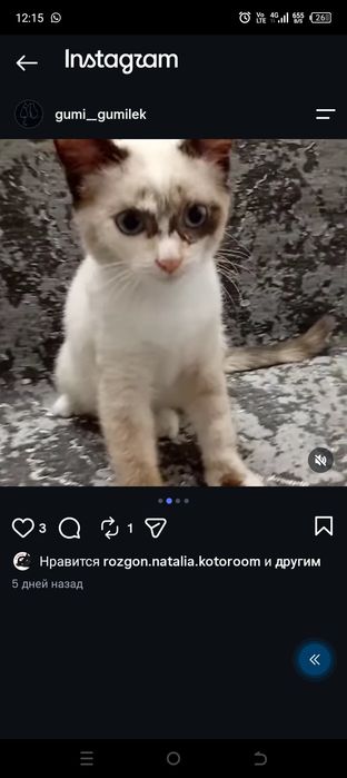 Иотдам в заботливые и хорошие руки