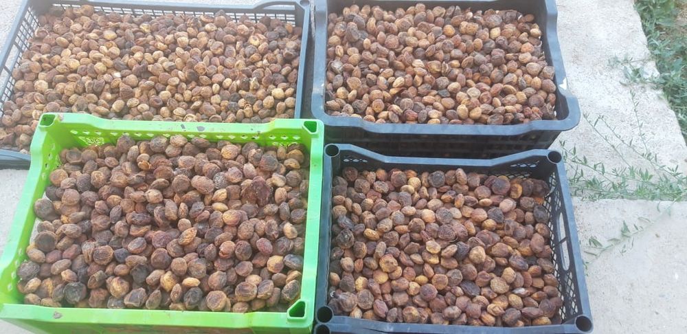 Продаётся урюк сушёный