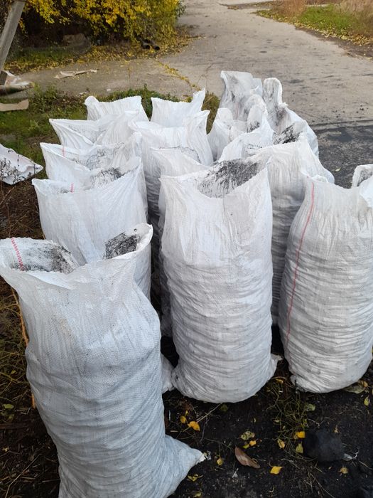 Cocs de vânzare cox