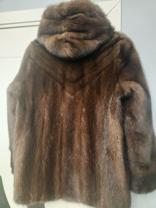 Haina  scurta de vizon