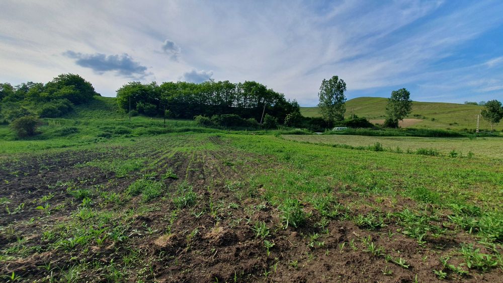 TEREN DE VANZARE ,, Super Oferta ''