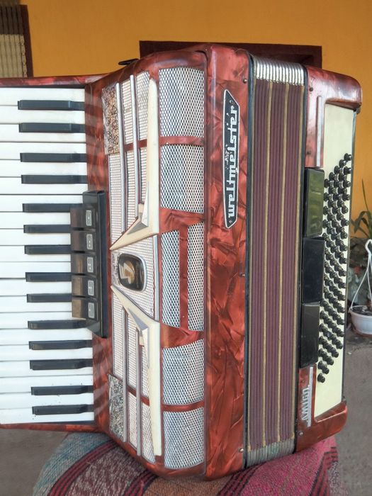 Acordeon elmeisteramigo