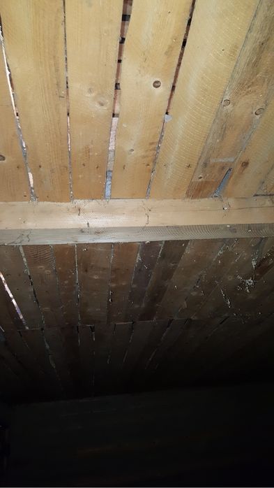 Casa de vacanta din lemn, Lepșa