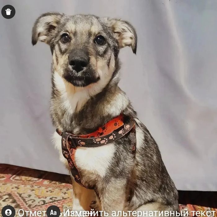 Возьми меня к себе