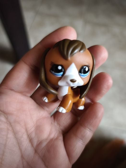 Littlest pet shop, 11 бр.и аксесоари