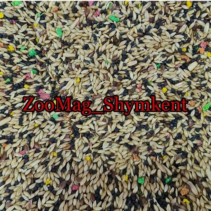 Korma dlya канарейеек