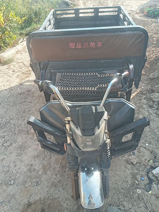 Electronic murave