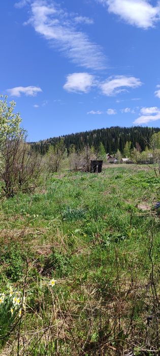 Продам участок 25 соток в с.Топиха