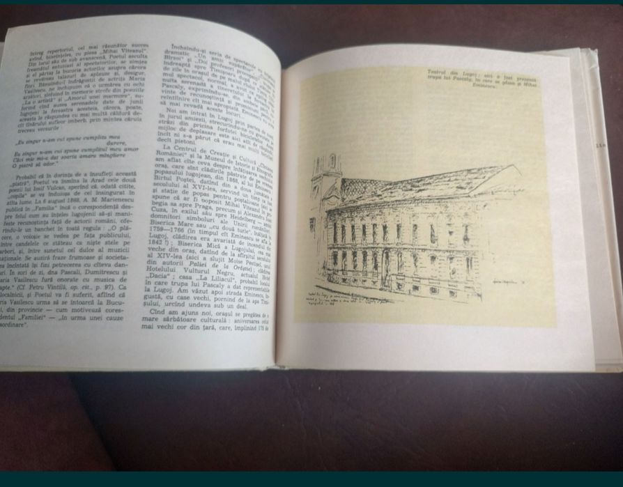 Pasii Poetului-Gelu Dorian,Emil Iordache