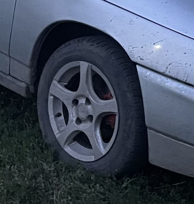 Продам диски с резиной