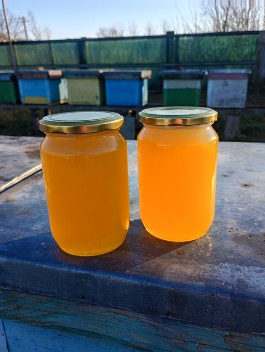 Vând miere de albine producție 2025