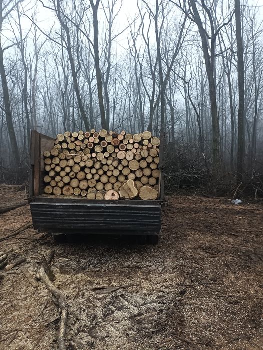 Vând renault mascot