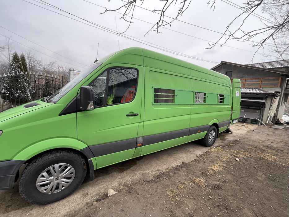 Transport animale vii