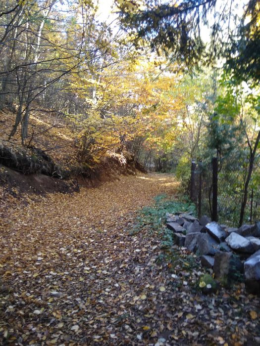 Продава се Парцел в София, Борово - 450 кв.м за 43 €/кв.м - Снимка #7