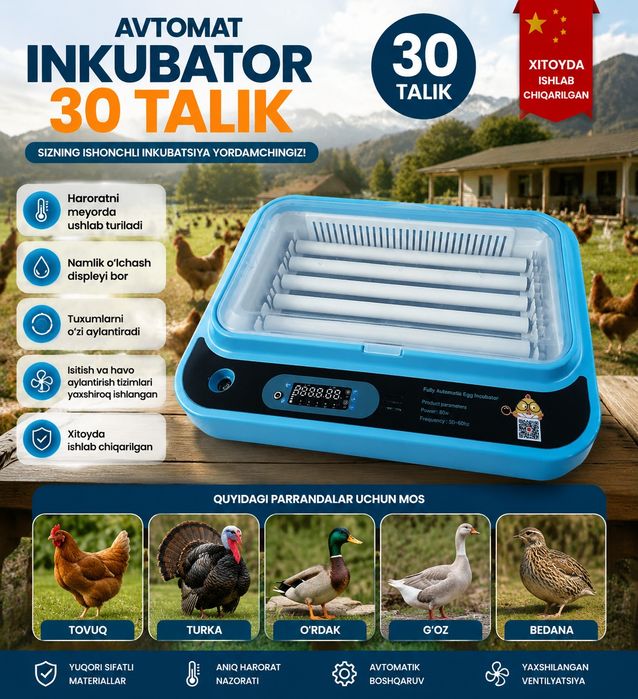 Inkubator Avtomat 30 talik Yengi