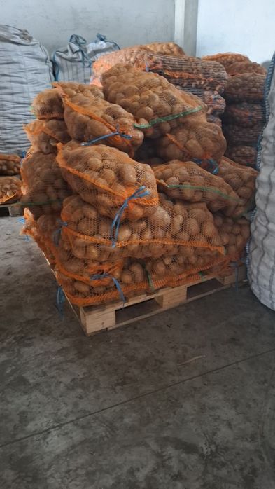 Vând cartofi consum