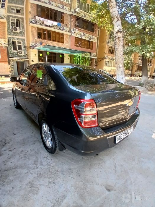 Cobalt 2022 full