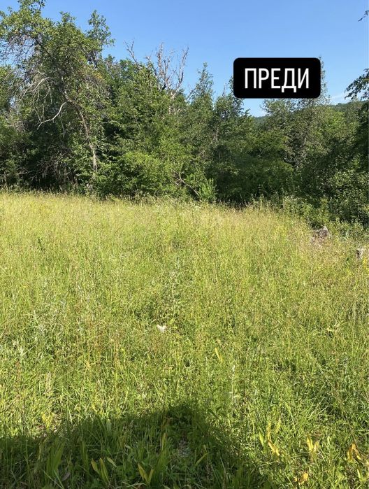 Косене и поддръжка на имоти