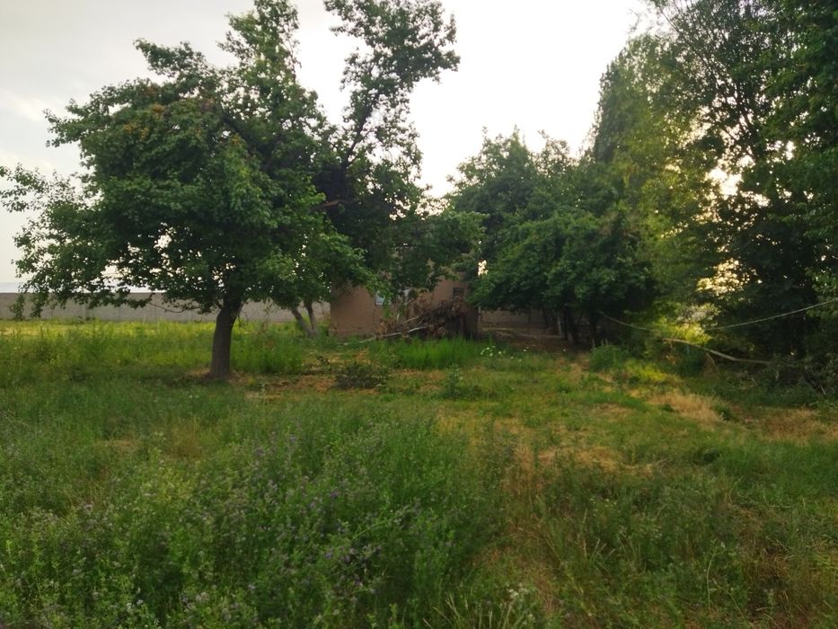 Карабайда уй сотилади