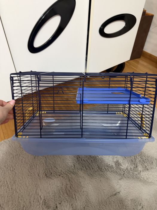 Cusca pentru hasmeri