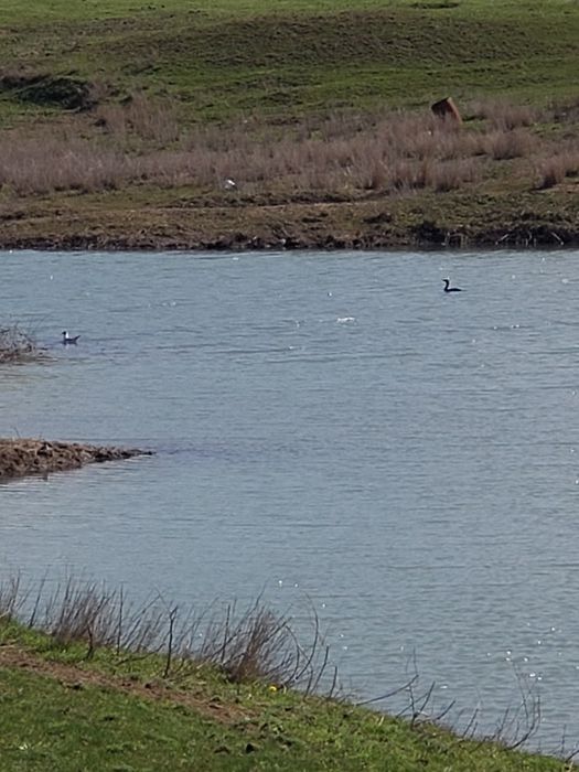 Ищу инвестора партнера