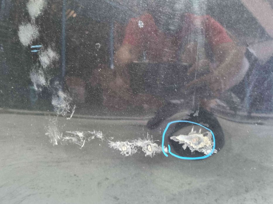 Capota motor Seat Leon (1P1) [Fabr 2005-2011] Facelift LC9Z