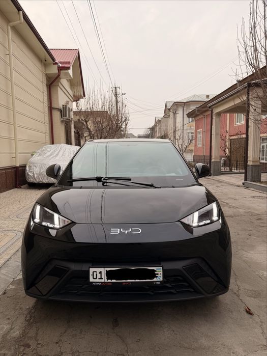 Ўзимники Byd Seagull