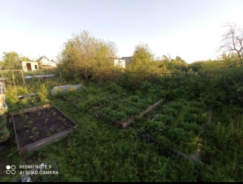 Срочно Продается Дача СО Пригородный