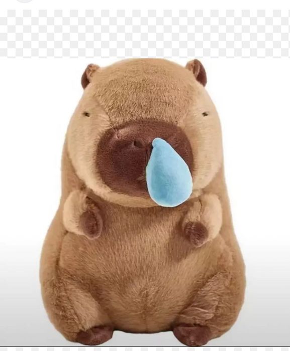 Сопливая капибара