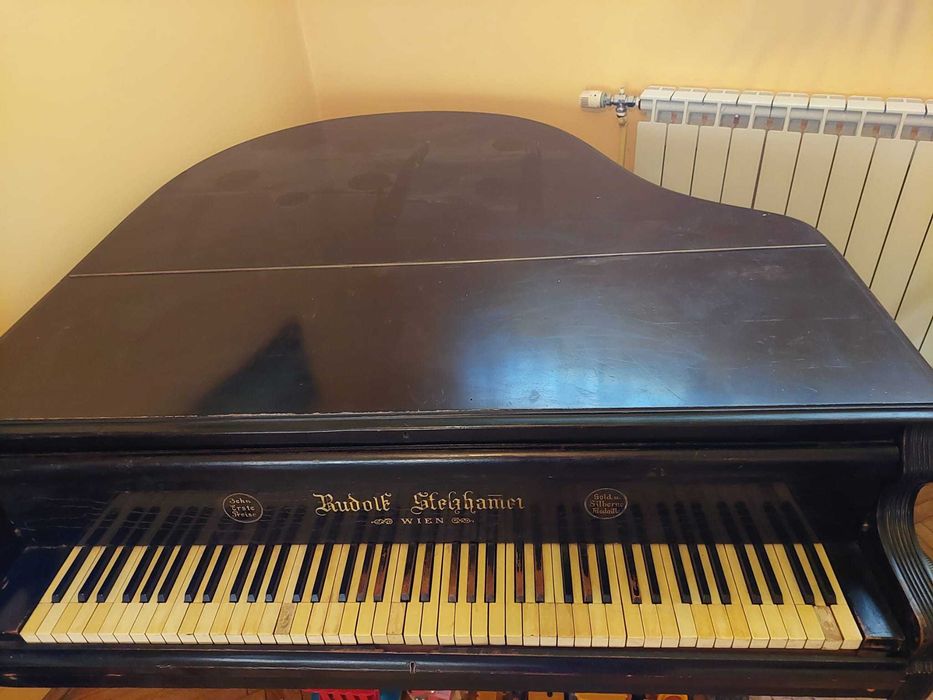 Pian de colectie - Rudolf Stelzhamer - Wien