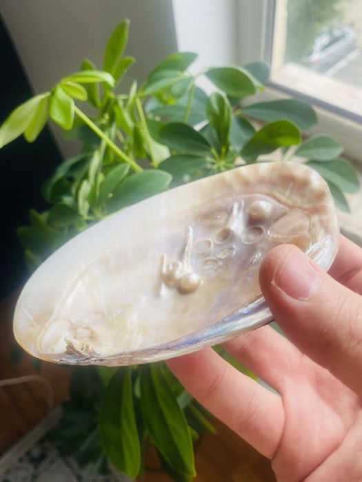 Bol farfurioara metal, scoica cu perle