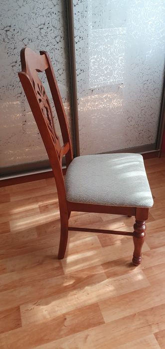 Продам стулья два штуки.