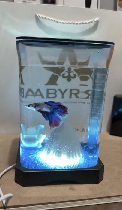 Аквариум + рыб + корм+ декор+ломпа