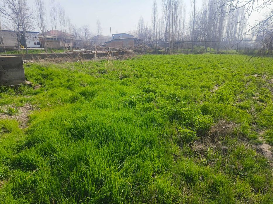 Yer sotiladi 10 sotoh