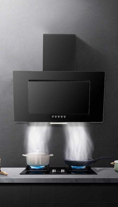 Hanseatic aбсорбатор,аспиратор SY-103E9A-P1-C84-L121-600