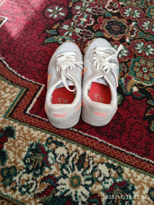 Красовка женская