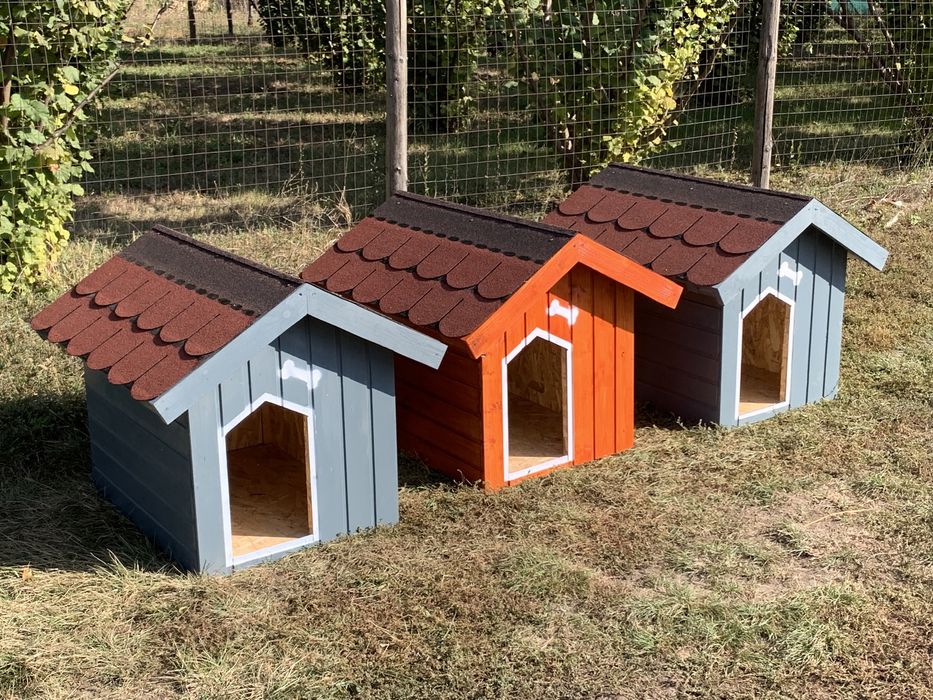 Cusca câine izolata