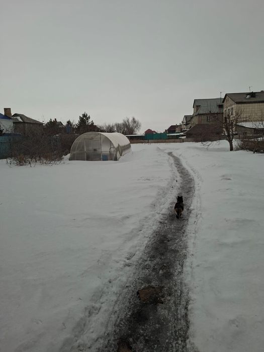 Сдам огород в аренду
