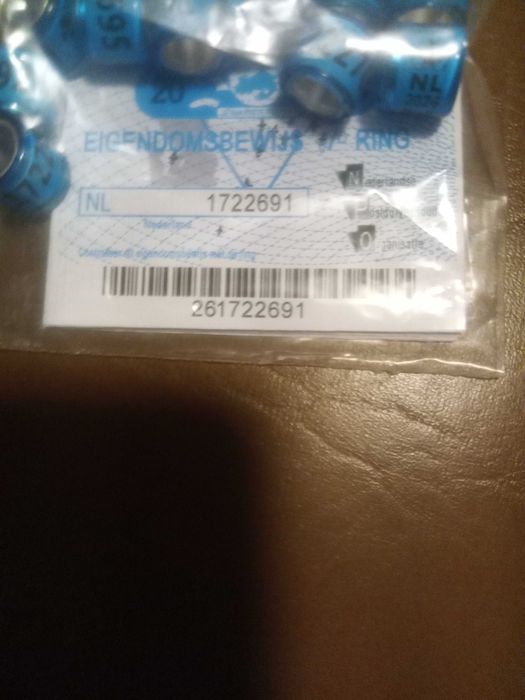 Inele originale NL 2026 cu talon