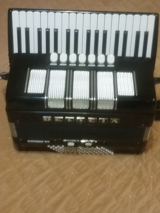 Acordeon delicia 72 de bași