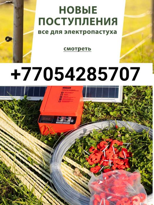 Электропастух для лошадей