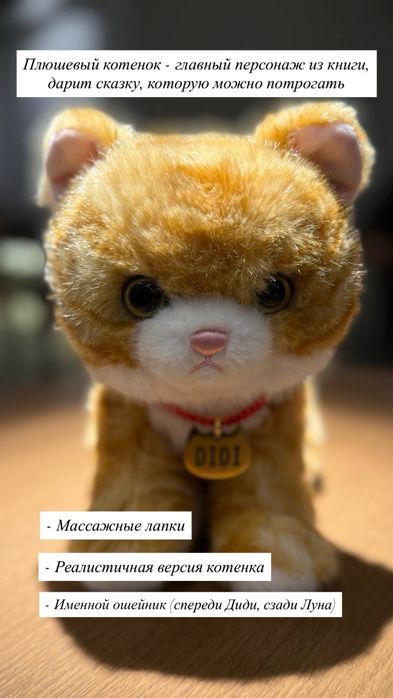 Премиальный новогодний набор Luna & Didi