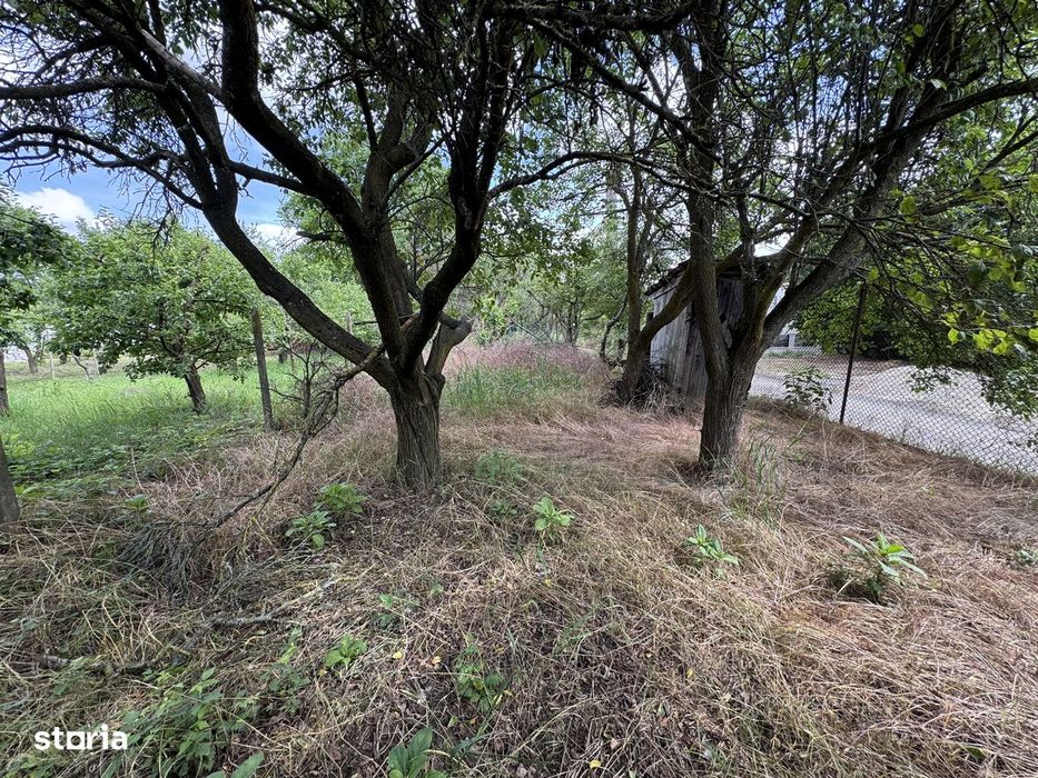 Teren intravilan / gradina cu cabanuta , zona Bercu Rosu