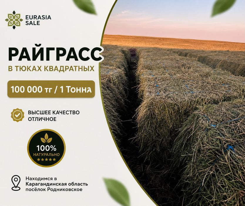 Райграсс для скота
