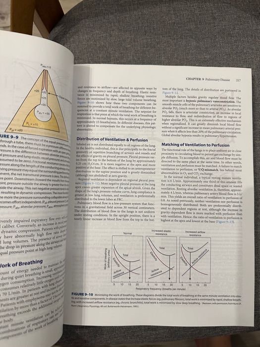 Pathophysiology of Disease: An Introduction to Clinical Medicine – 6th Edition